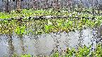 mizubasho7-20250418171039.jpg