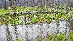 mizubasho7-20250418172040.jpg