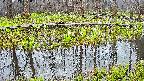 mizubasho7-20250419051039.jpg