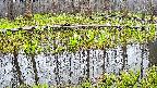 mizubasho7-20250419053044.jpg