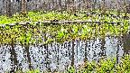 mizubasho7-20250419055047.jpg