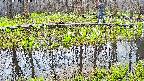 mizubasho7-20250419060044.jpg