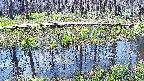 mizubasho7-20250419090044.jpg