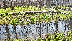 mizubasho7-20250419124040.jpg