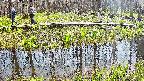 mizubasho7-20250419131045.jpg