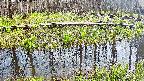 mizubasho7-20250419141046.jpg