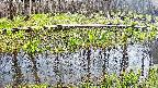 mizubasho7-20250419142043.jpg