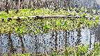 mizubasho7-20250419143042.jpg