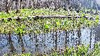 mizubasho7-20250419151044.jpg