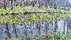 mizubasho7-20250419152041.jpg