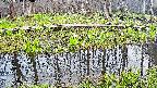 mizubasho7-20250419180040.jpg
