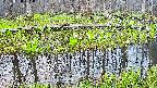mizubasho7-20250420051042.jpg