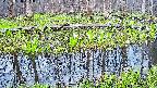 mizubasho7-20250420053041.jpg