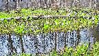 mizubasho7-20250420054038.jpg