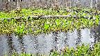 mizubasho7-20250420055039.jpg