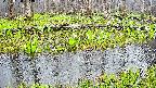 mizubasho7-20250420064040.jpg