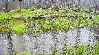 mizubasho7-20250420080040.jpg