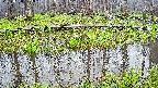 mizubasho7-20250420084041.jpg