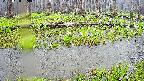 mizubasho7-20250420090042.jpg