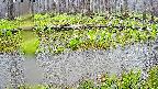 mizubasho7-20250420091040.jpg