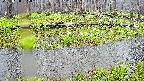 mizubasho7-20250420092042.jpg