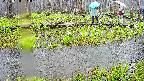 mizubasho7-20250420093043.jpg