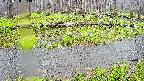 mizubasho7-20250420094041.jpg