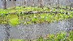 mizubasho7-20250420095040.jpg