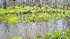 mizubasho7-20250420100040.jpg