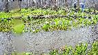 mizubasho7-20250420102044.jpg