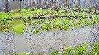 mizubasho7-20250420103044.jpg