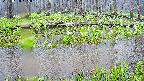 mizubasho7-20250420105041.jpg
