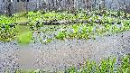 mizubasho7-20250420111041.jpg