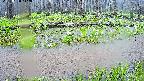 mizubasho7-20250420112043.jpg