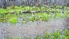 mizubasho7-20250420114043.jpg