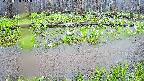 mizubasho7-20250420115041.jpg