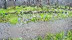 mizubasho7-20250420120043.jpg
