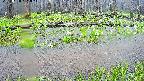mizubasho7-20250420121046.jpg