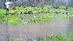 mizubasho7-20250420125043.jpg