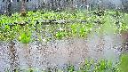 mizubasho7-20250420131043.jpg