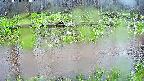 mizubasho7-20250420133043.jpg