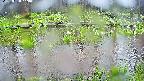 mizubasho7-20250420140040.jpg