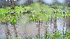 mizubasho7-20250420144047.jpg