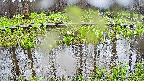 mizubasho7-20250420151044.jpg