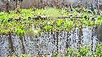 mizubasho7-20250420155042.jpg