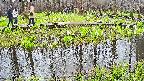 mizubasho7-20250420160044.jpg