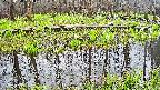 mizubasho7-20250420163041.jpg
