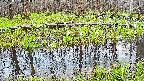 mizubasho7-20250421054044.jpg