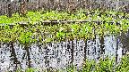 mizubasho7-20250421061042.jpg