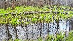 mizubasho7-20250421062041.jpg